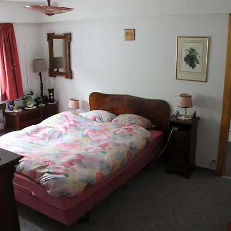 Big Flat In The Heart Of Valais Apartment Martigny-Combe