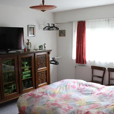 Big Flat In The Heart Of Valais Martigny-Combe