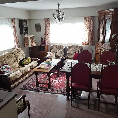 Apartment Big Flat In The Heart Of Valais *