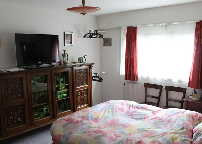 Big Flat In The Heart Of Valais Martigny-Combe