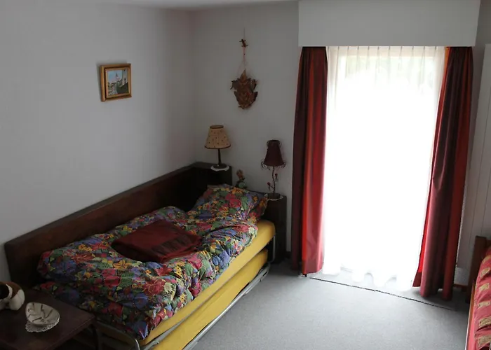 Big Flat In The Heart Of Valais Апартаменты *