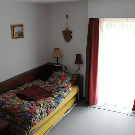 Big Flat In The Heart Of Valais Appartement *